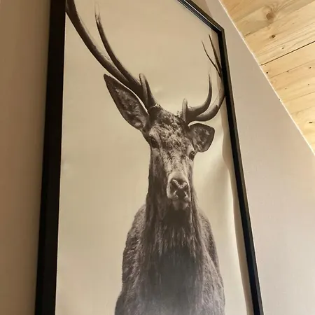 Apartman Overkamps - Odernheim *