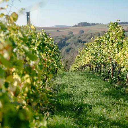 Overkamps - Odernheim Apartman *