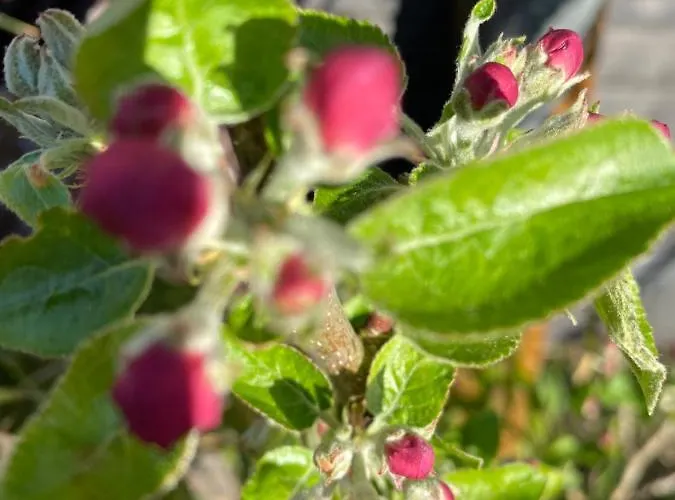 Overkamps - Odernheim Apartman Odernheim am Glan