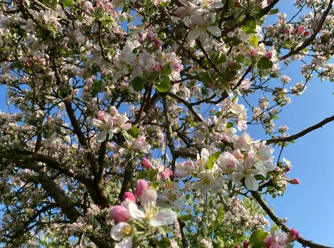 Overkamps - Odernheim