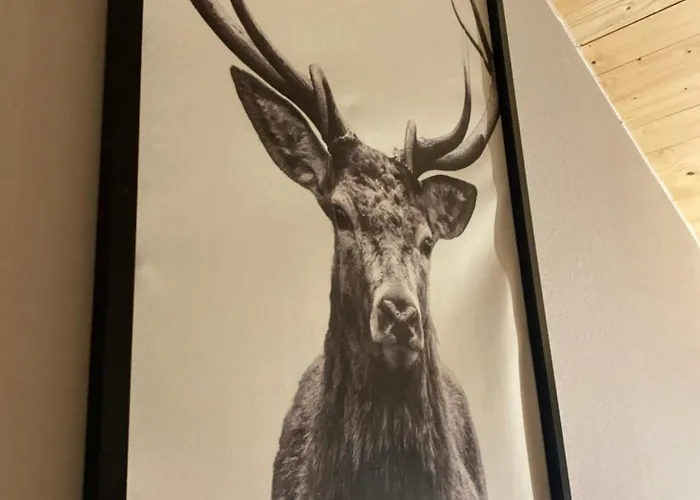 アパート Overkamps - Odernheim *