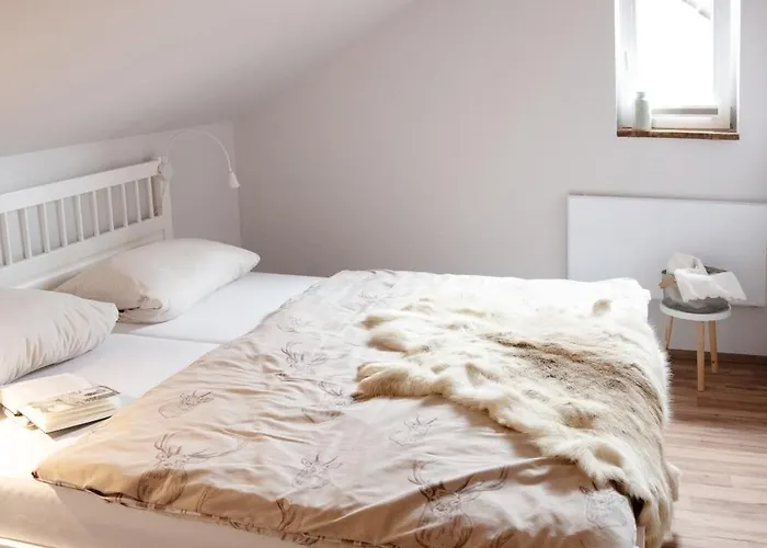 Apartman Overkamps - Odernheim *