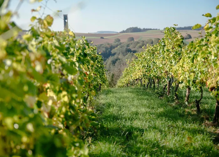 Overkamps - Odernheim アパート *